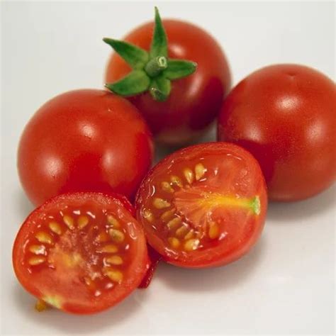 Tomato Seeds In Chennai Latest Price And Mandi Rates From Dealers In