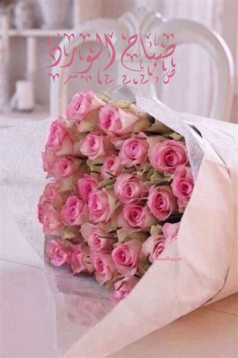 صباح الورد Pink Roses Rose Flowers