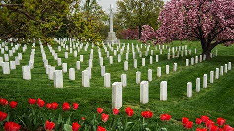 Arlington Cemeterys Grave Sites Now Searchable Online The Two Way Npr