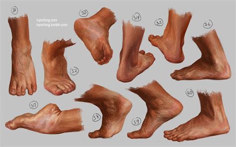 Artistic Anatomy Life Drawing Reference Human Reference Anatomy Reference Feet Drawing