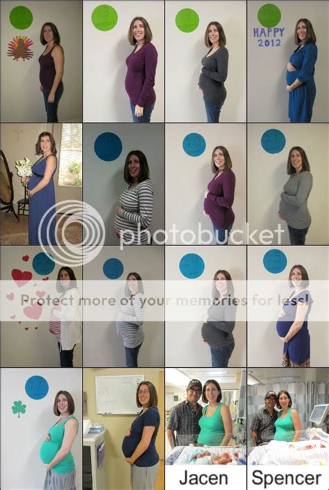 Bump Progression Twin Edition Pip — The Bump