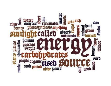 Category Wordle  Mr. Huynh's Classroom