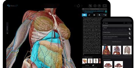 Todays Android Game And App Deals Human Anatomy Atlas More