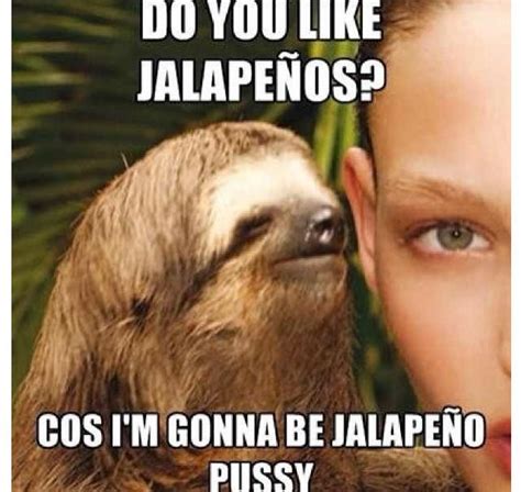 Dirty Sloth Quotes Quotesgram