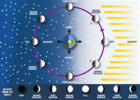 Why We See The Moon During The Day Infographic Earth Space Science