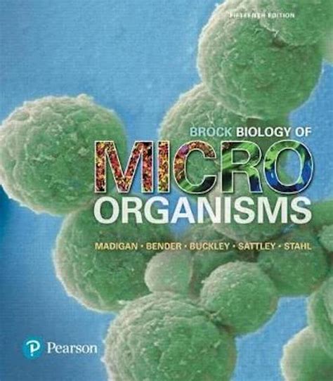 TEST BANK FOR BROCK BIOLOGY OF MICROORGANISMS 15TH EDITION BY MICHAEL T