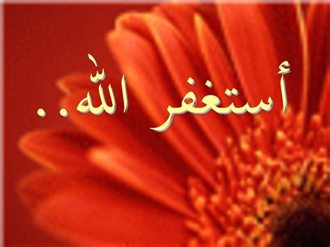 تنزيل خلفيات شاشة خلفيات فكتور خلفيات واتس اب افضل مواقع الصور والخلفيات خلفيات بوربوينت صور خلفيات متحركة لجهاز الكمبيوتر تنزيل خلفيات متحركه , تحميل اجمل خلفية متحركه خلفيات حية ماء. تنزيل صور جميلة , تحميل اجمل صورة رائعه - حبيبي