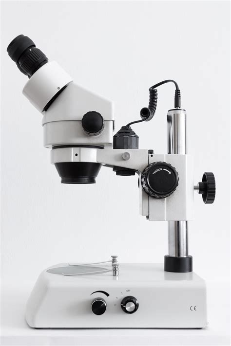 750 Microscope Pictures Hd Download Free Images On Unsplash
