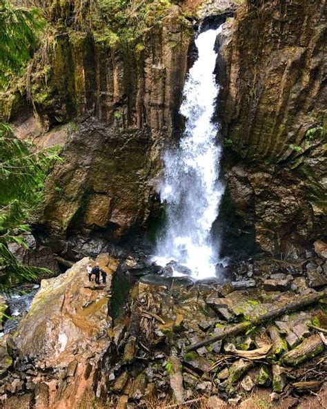 Drift Creek Falls Hike Lincoln Oregon Our Salty Tribes Lincoln