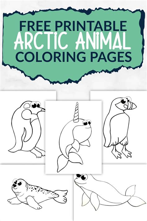 Free Printable Arctic Animal Coloring Pages Simple Mom Project