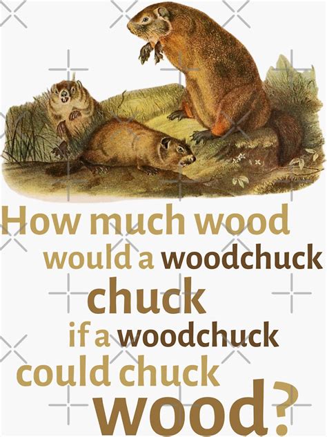 How Much Wood Would A Woodchuck Chuck Sticker For Sale By Primal