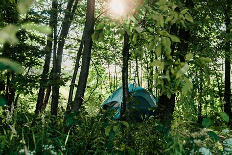 Free Forest Camping Photo — High Res Pictures