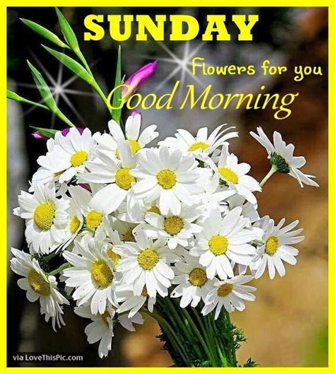 Sunday Flowers For You Good Morning Blessed Sunday Pinterest
