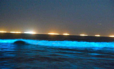 Rare Bioluminescent Glowing Waves Show Up Off Huntington Sunset And