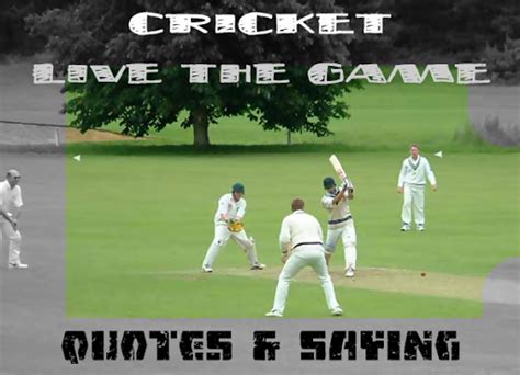 Criclines provide 100% sure and safe cricket match prediction tips about who will win today, all live cricket match played around the world. Famous quotes about 'Cricket' - Sualci Quotes 2019