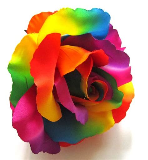 2x Huge Rainbow Roses Artificial Silk Flower Heads 6 Inches Etsy