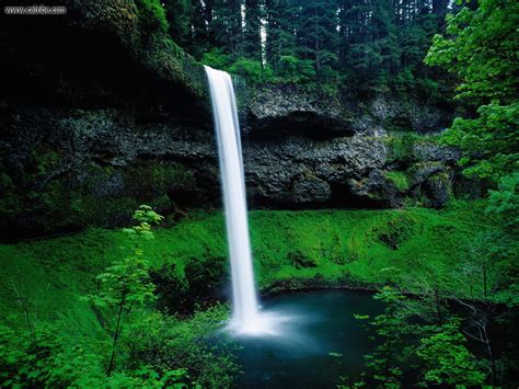 Silver Falls State Park Or You Can Walk A Trail That Goes Under