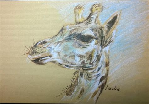 Giraffe In Pastel And Color Pencil By Lineke Lijn On Deviantart