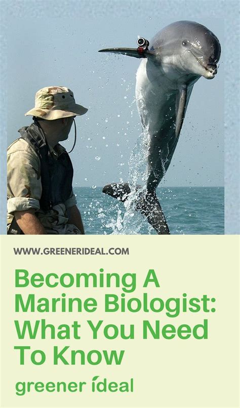 Marine Biology Seems Like An Romantic Career Choice For Anyone Who Is