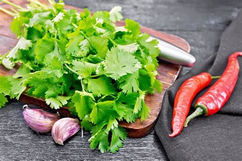 Cooking With Fresh Cilantro Spice Up Soups Salsa And More