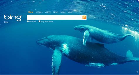 50 Bing Homepage Wallpaper On Wallpapersafari