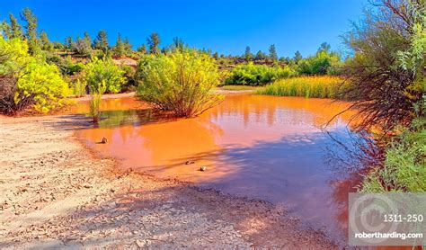 Toxic Pond Formed From Runoff Stock Photo