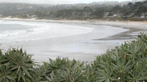 Ocean Sandy Beach California Coast Sea Water Waves Crashing Foggy