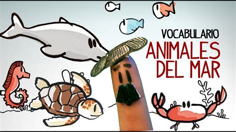 Vocabulario Animales Del Mar Los Animales En Español Youtube