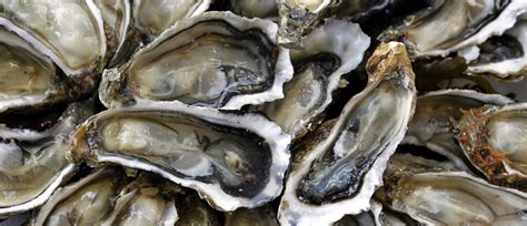 The Worlds Shellfish Are Under Threat As Our Oceans Become More Acidic
