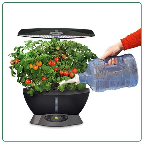 Free shipping on orders over $25.00. AeroGarden Classic 6 with Gourmet Herb Seed Pod Kit ...