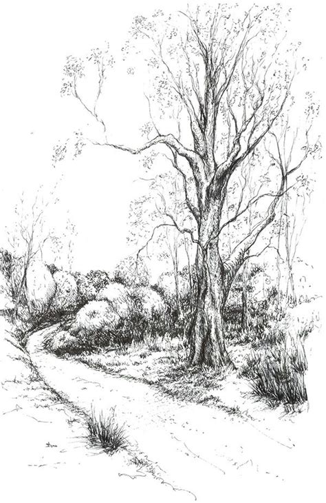 Drawings 20140925 On Behance Samford Path Drawing Scenery Landscape
