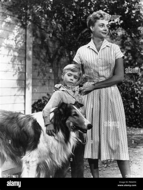 Jon Provost June Lockhart Timmy And Lassie Circa 1954 File