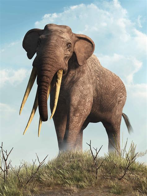 Meet The Gigantic Ancient Elephant With Four Deadly Tusks A Z Animals