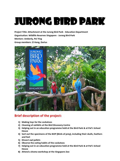 Jurong Bird Park Wiki Pdf Tetrapods Paravians