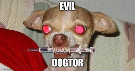 Evil Dogtor Imgflip