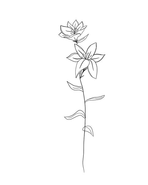 Https://techalive.net/draw/how To Draw A Birth May Flower