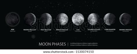 Movements Moon Phases Realistic Vector Illustration Stock Vector
