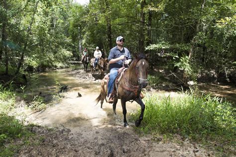 Bogue Chitto State Park Opportunities In Louisiana