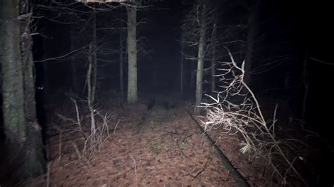 Lost And Walking In Scary Nighttime Woods Running Thorough Misty Deep