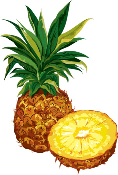 Free Pineapple Clipart The Cliparts