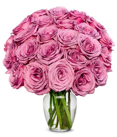 Two Dozen Purple Roses At From You Flowers