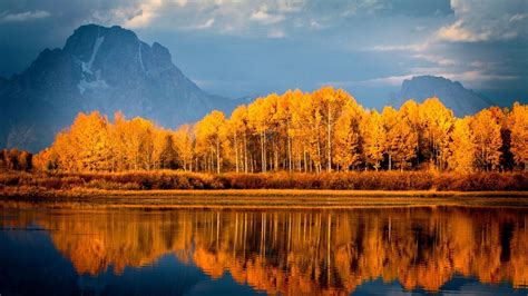 1366x768 Autumn Trees On Lake Laptop Hd Hd 4k Wallpapersimages