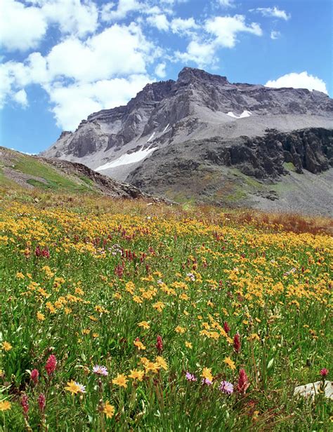 Rocky Mountains And Wildflowers Photograph By Missing35mm Fine Art America