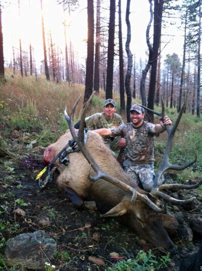 New Mexico Guided Elk Hunts In Unit 16a Unit 16d Unit 16c Compass