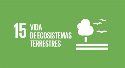Objetivo Vida De Ecosistemas Terrestres Agenda Gobierno
