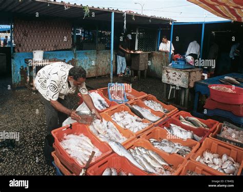 Fish Market In Tripoli Libya Stock Photo Alamy