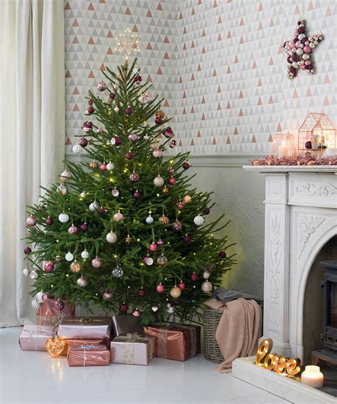 Pick The Right Real Christmas Tree For Your Home And Look After It