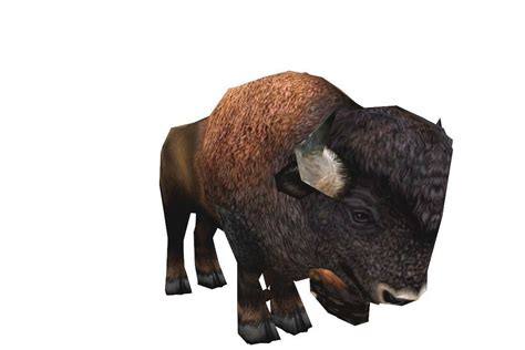 American Bison 3d Model Low Poly Cgtrader