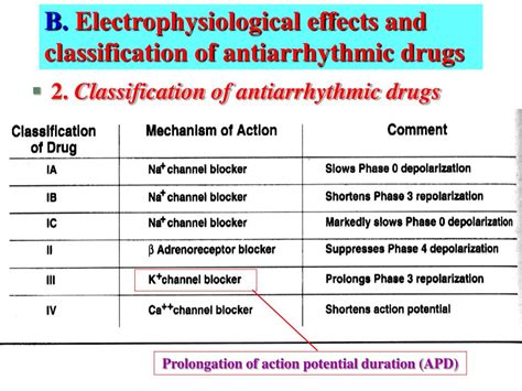 Ppt Antiarrhythmic Drugs Powerpoint Presentation Free Download Id 4589298
