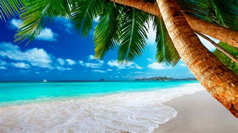 Tropical Paradise Vacations Hd Wallpapers Themes10win